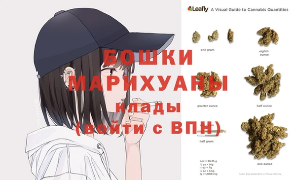 дурь Заводоуковск
