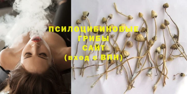 первитин Заволжье