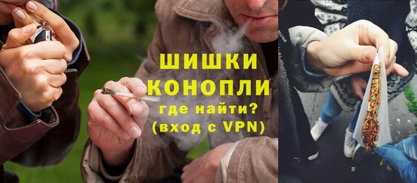 дурь Заводоуковск